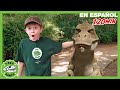Jursica gigantes de gulliver   trex rancho  moonbug kids  parque en vivo