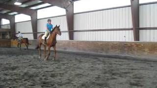 Jordan and Diva - Vertical 2