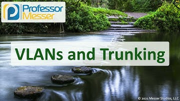 VLANs and Trunking - N10-008 CompTIA Network+ : 2.3