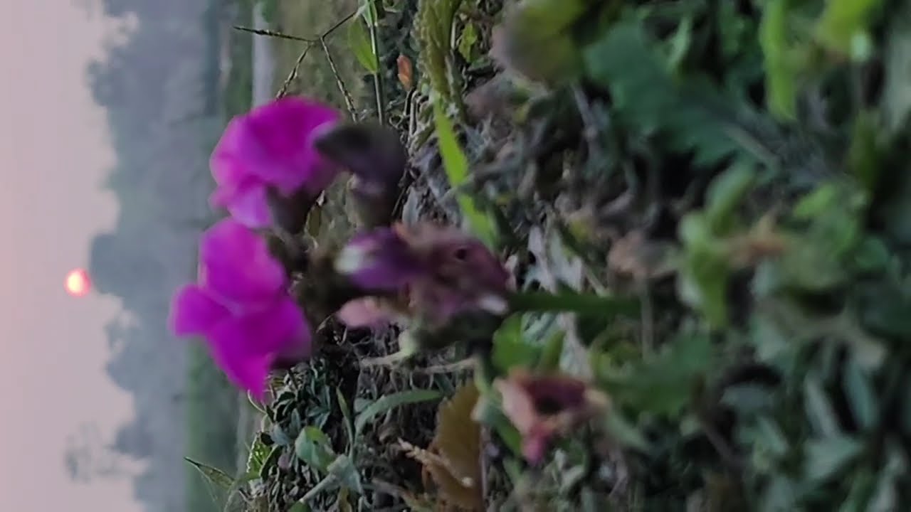 মুসলমান এর বাচ্চা হয়েও কেন নামাজ পড়ো না যুবক। Anisur Rahman Ashrafi।আনিসুর রহমান আশরাফী ২০২৬😭😭