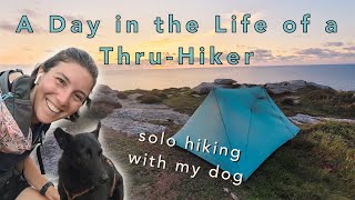 A Day in the Life Thru-Hiking with my Dog | Our daily routine on the Trail