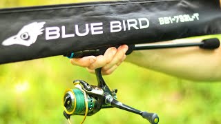 :    Favorite Blue Bird 20 (BB1-732L-T).       