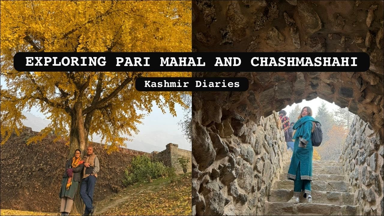 СЕМЕЙНЫЙ ВЫХОД — ПАРИ МАХАЛ И ЧАШМА ШАХИ в гостях 