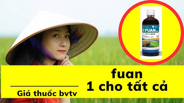 giá thuốc bảo vệ thực vật, trừ bệnh đạo ôn fuan, cách sử dụng hiệu quả | giá vật tư nông nghiệp