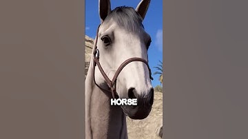 Horses are Coming to Console Rust. #rust #rustupdate #rustpvp #rustcommunity #rustconsole #gaming