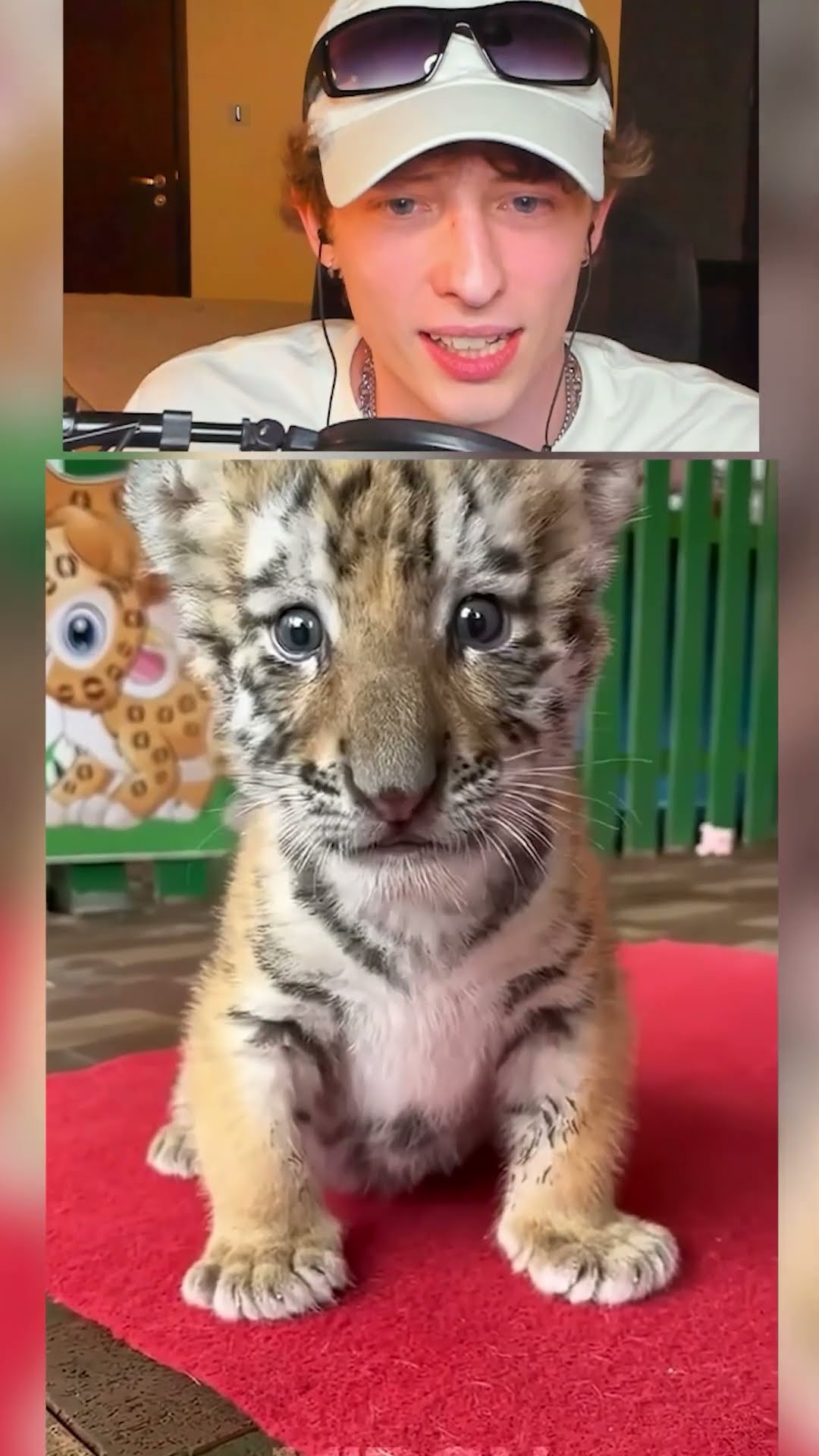 EL PODER de la transformacion ANIMALES epico?