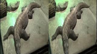 3D AKRON ZOO 2025 Akron, Ohio - Side by Side 3D