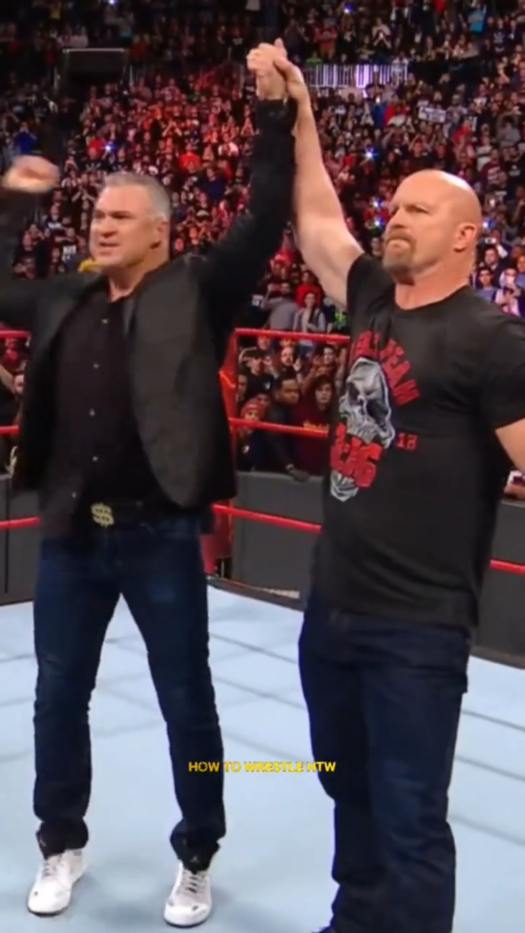stone cold＆Shane McMahon＆Vince Stone Cold Destroys Vince & Shane McMahon #wwe #stonecold