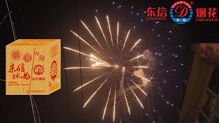 4" (100mm) 16sh Mix Effects Display Shells Fireworks Cake by (Dancing Fireworks)