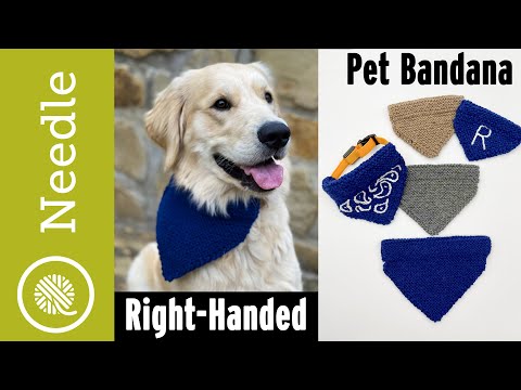 How to Knit a Pet Bandana (3 sizes) EASY