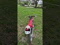 #honda #dirtbike #oakley #edit #fypシ #fyp