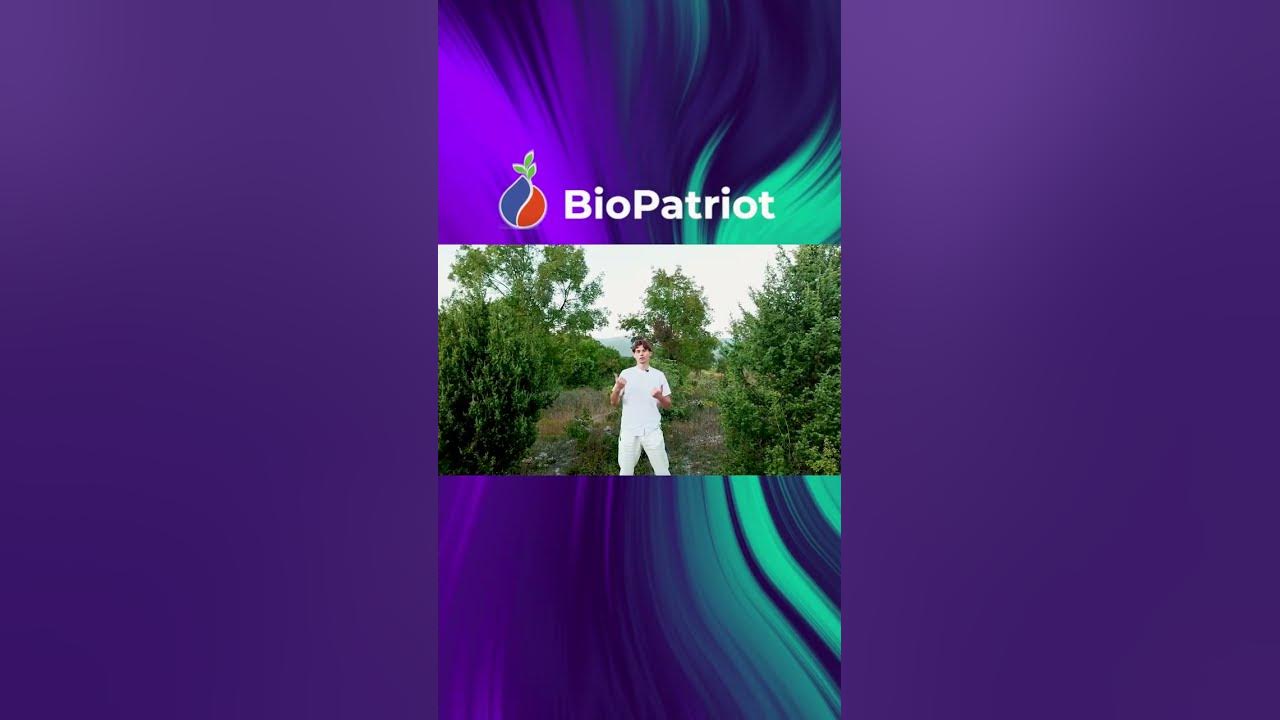 БИОРЕЗОНАНСНАЯ ДИАГНОСТИКА БИОПАТРИОТ СРОЧНО! КУРСЫ БИОПАТРИОТ - YouTube