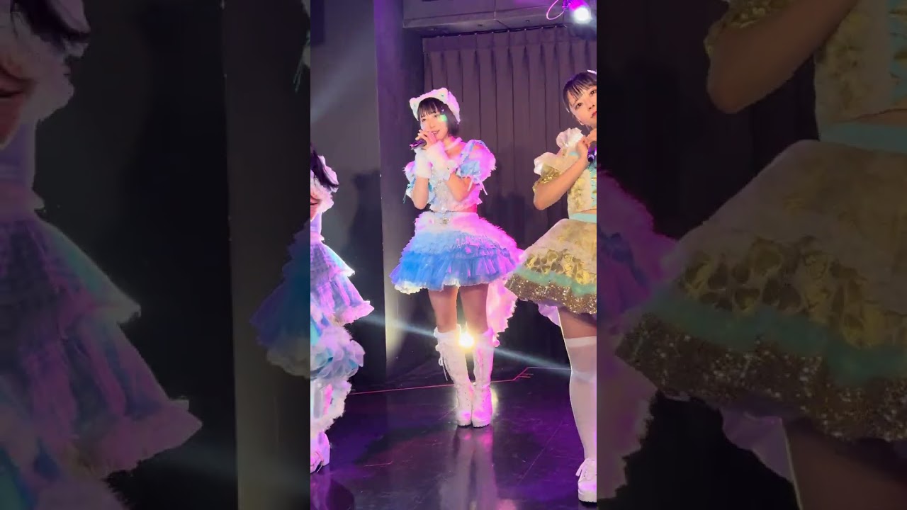 ゼロキョリスキ / すてねこキャッツ 2026.02.20 葵つむぎ生誕祭2026📍渋谷VIDENT