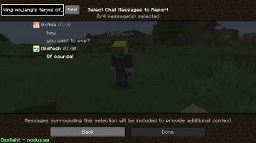 Minecraft 1 19 1 Report System Gaslighting