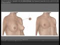 Completing an illustration with graphic details