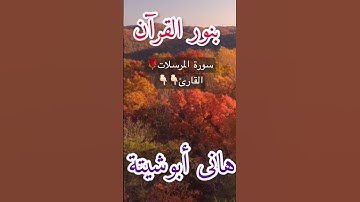 سورة المرسلات 🫶 القارئ هانى ابو شيتة