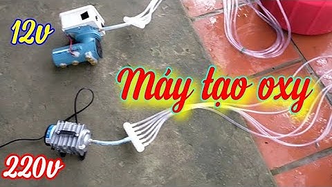 Review 2 máy sủi oxy cho bể cá, chạy oxy cho tôm, cá chạy điện 12v và 220v