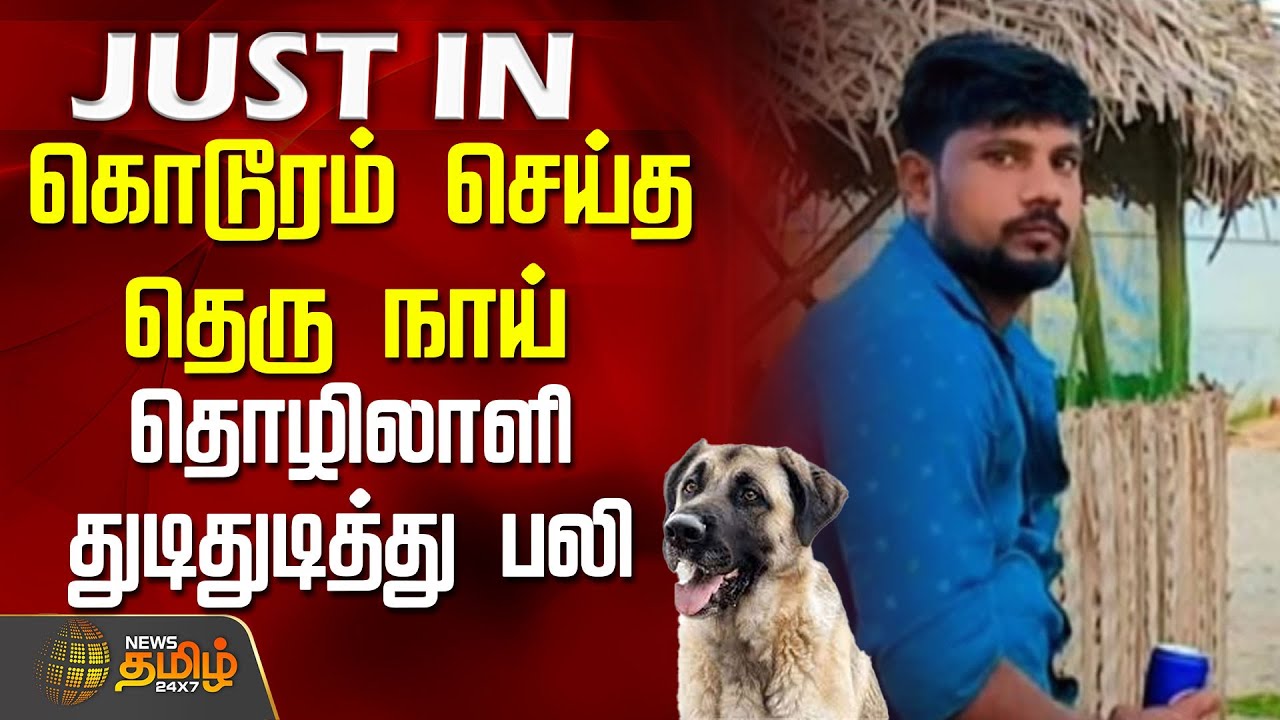 கொடூரம் செய்த தெரு நாய்.. தொழிலாளி துடிதுடித்து பலி | DogAttack | WorkerDeath | NellaiNews