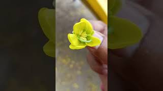 Good Morning #flower screenshot 5