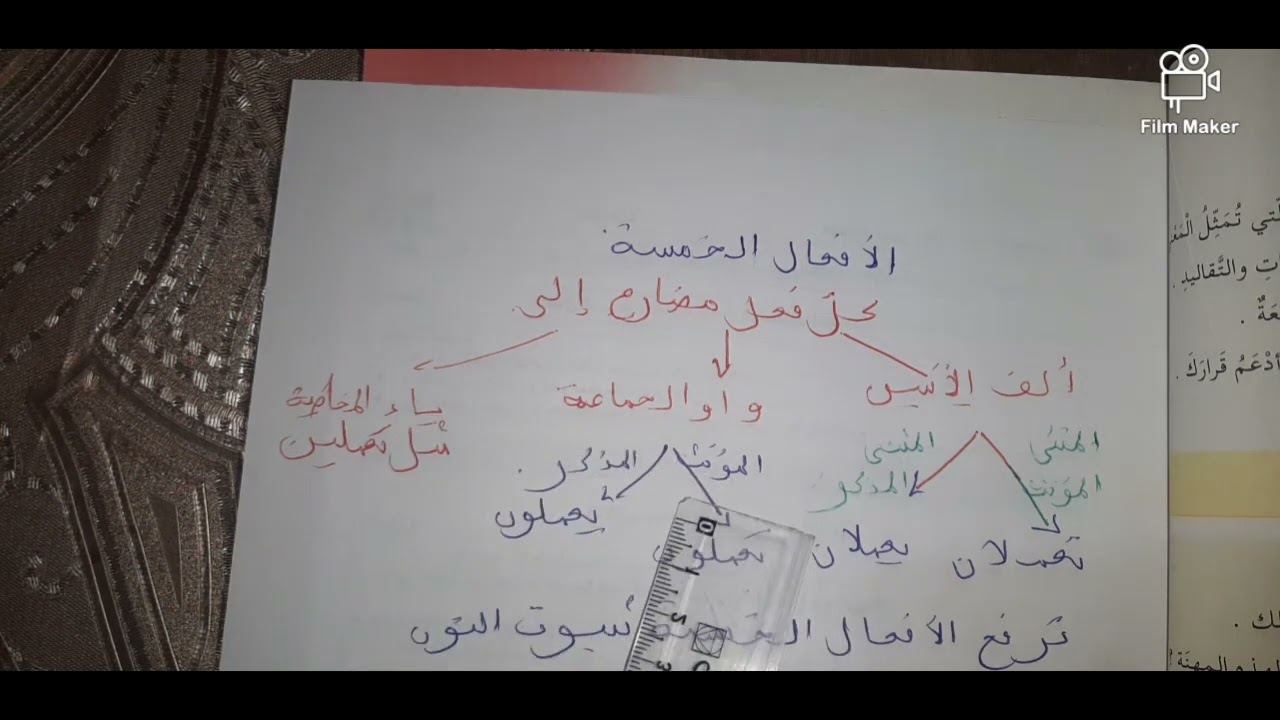 الافعال الخمسة +تمارين  للسنة الخامسة ابتدائي