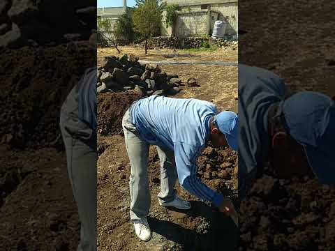 قرية قزحل اعادة الاعمار بعد ١٤ سنة من الدمار غربي حمص القرية الهادئة