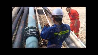 Long Range Ultrasonic Testing (Budiman Inspection)