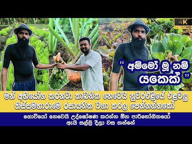 කට්ට පොලොව මට්ටු කල අපේ කාලයේ යෝධයා organic farming in tissamaharama sri lanka