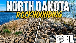 Rockhounding North Dakota During a Lake Fly Invasion