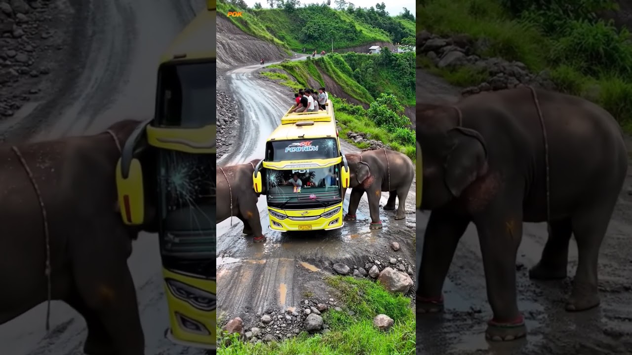 Elephant Pushes Tourist Bus 😱 Dangerous Cliff Attack | Shocking AI Wildlife Scene
