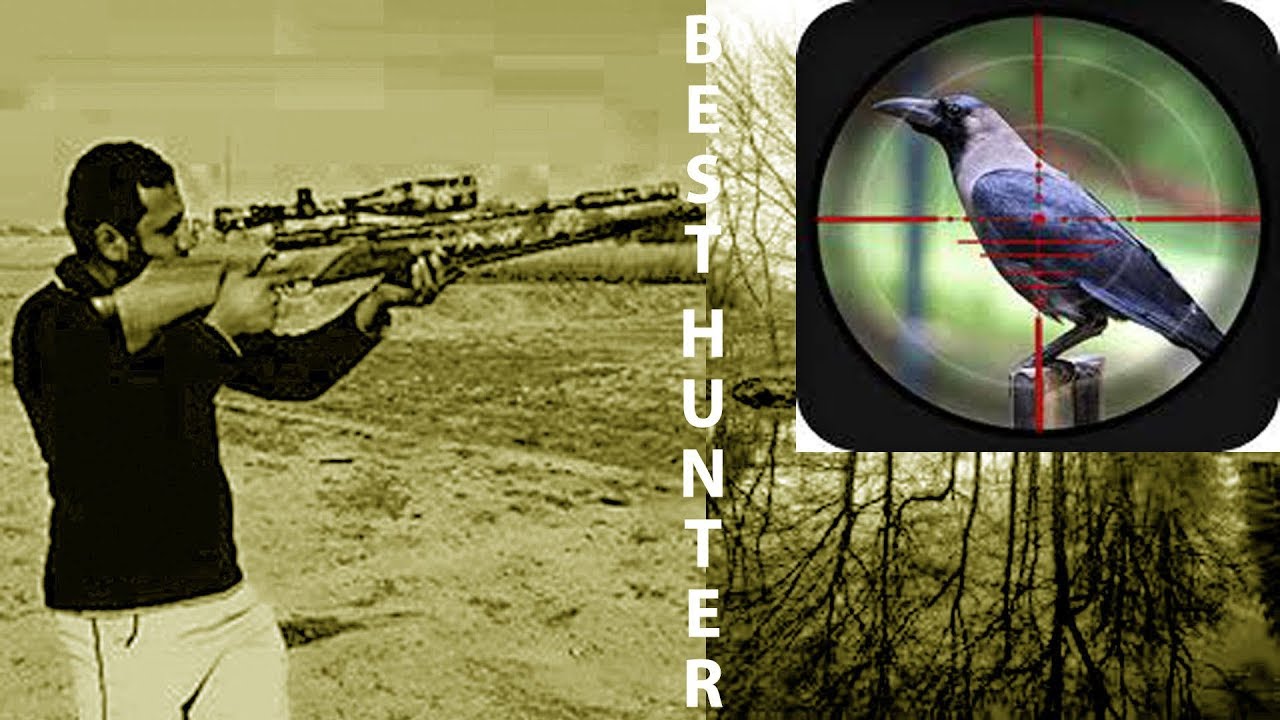 Crow Hunting with airgun 2018 Must Watch YouTube