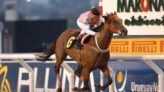 Invasor (ARG) - Gran Premio Nacional 2005
