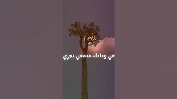 قمــره عيضة المنهالي 