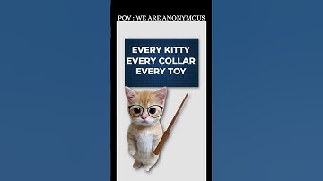 IPv4 vs IPv6 addresses explained by cats!! #hacker #hack #cybersecurity #hacking #networking