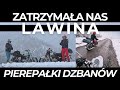 Zatrzymała nas lawina. Śnieg i mróz w Rumunii.