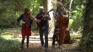 Cambridge Folk Festival 2015 - The Stray Birds - Simple Man