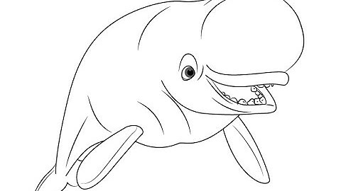 How to Draw Bailey from Finding Dory