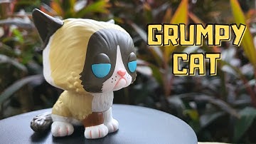 Funko Pop! Grumpy Cat | Unboxing