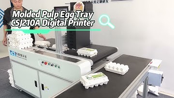 Egg Tray Box Printing Machine，CSJ210A Color Digital Printer