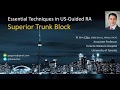 The Superior Trunk Block - Essentials of Ultrasound-Guided Regional Anesthesia