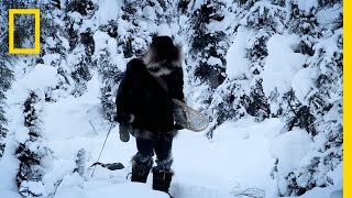 Healthy One Step at a Time | Life Below Zero Garden Guide