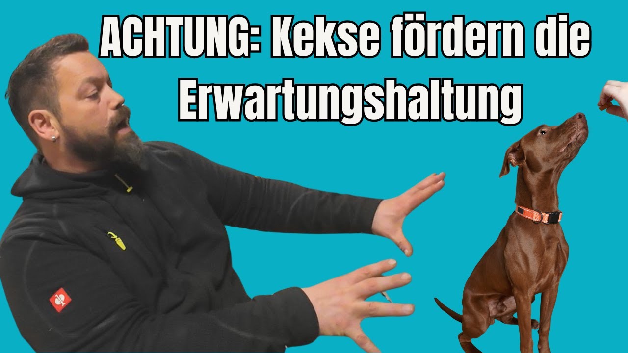 Vorsicht vor Leckerchen. Die födern die Erwartungshaltung