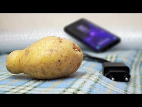 Как зарядить смартфон с помощью картофеля?