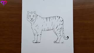 kaplan çizimi - kolay hayvan çizimleri - kolay çizimler, basit, sevimli, güzel, tatlı, resim