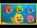 Baby Shark - Sport Adventure | Nursery Rhymes & Kids Songs | Tim Time