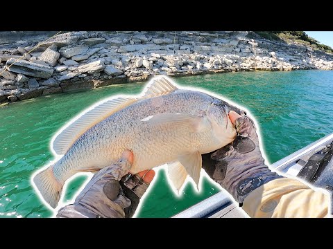 Fishing Ultra Clear Water for Rare Bass
