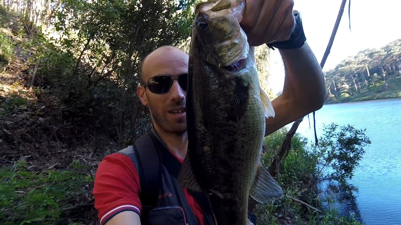 Pesca ao achigã com crankbait 2024