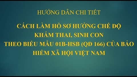 Hướng dẫn khai mẫu 01b hsb