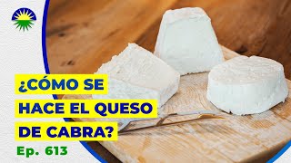 613. ¿Cómo se hace el queso de cabra?