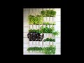Идеи по размещению растений на балконе