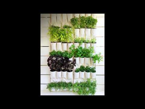 Видео: Органические хлопчатобумажные салфетки - Изабелла